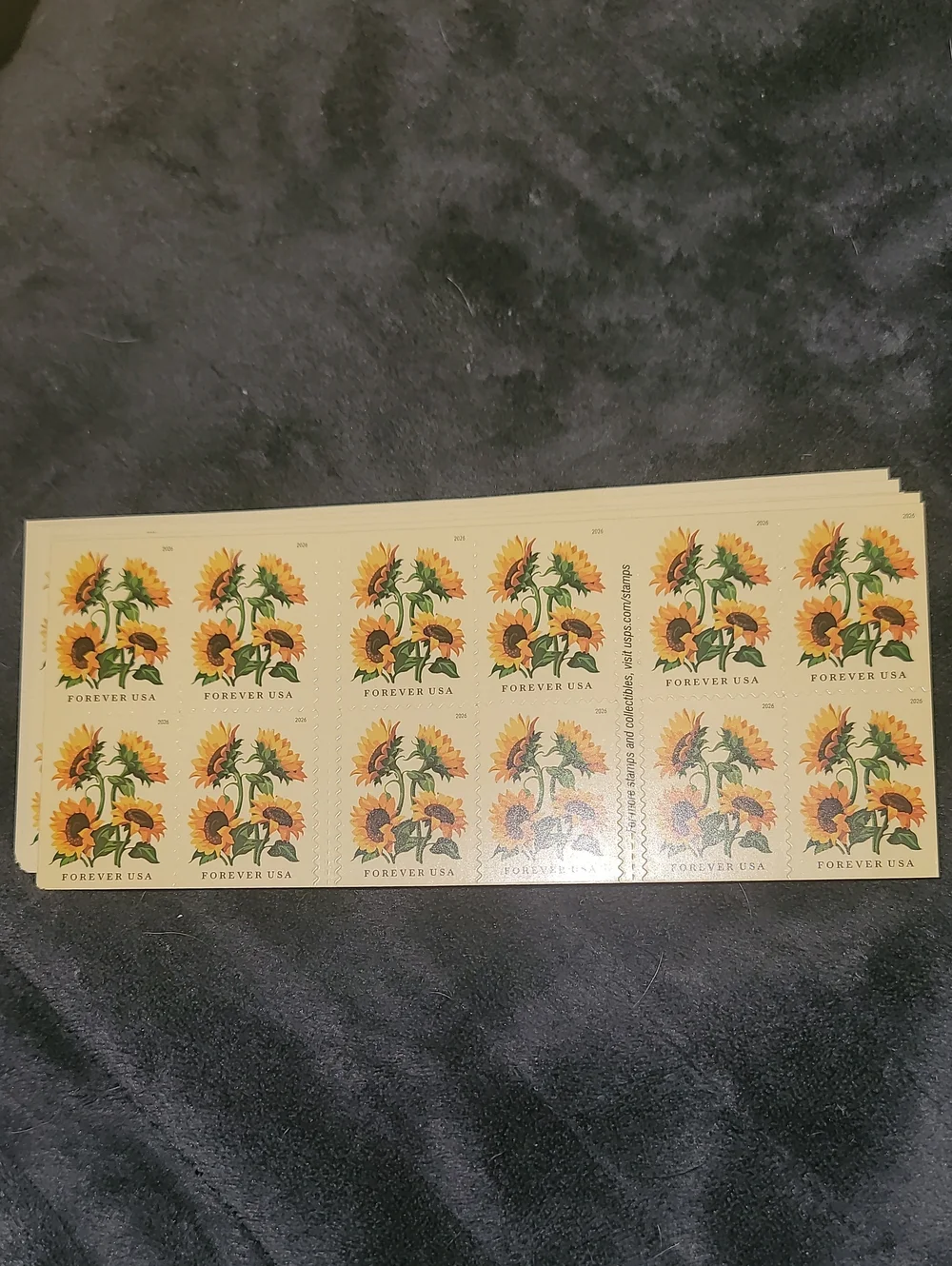 100 Sunflowers 2026 USPS Forever Postage Stamps Postal Wedding Invites Save Date